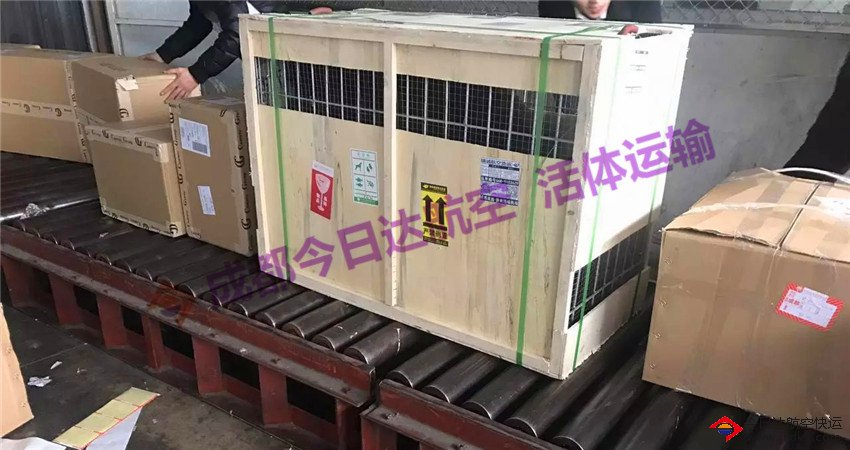 成都寵物托運公司